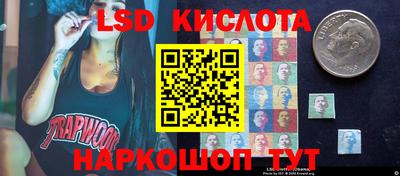 прущие грибы Кунгур
