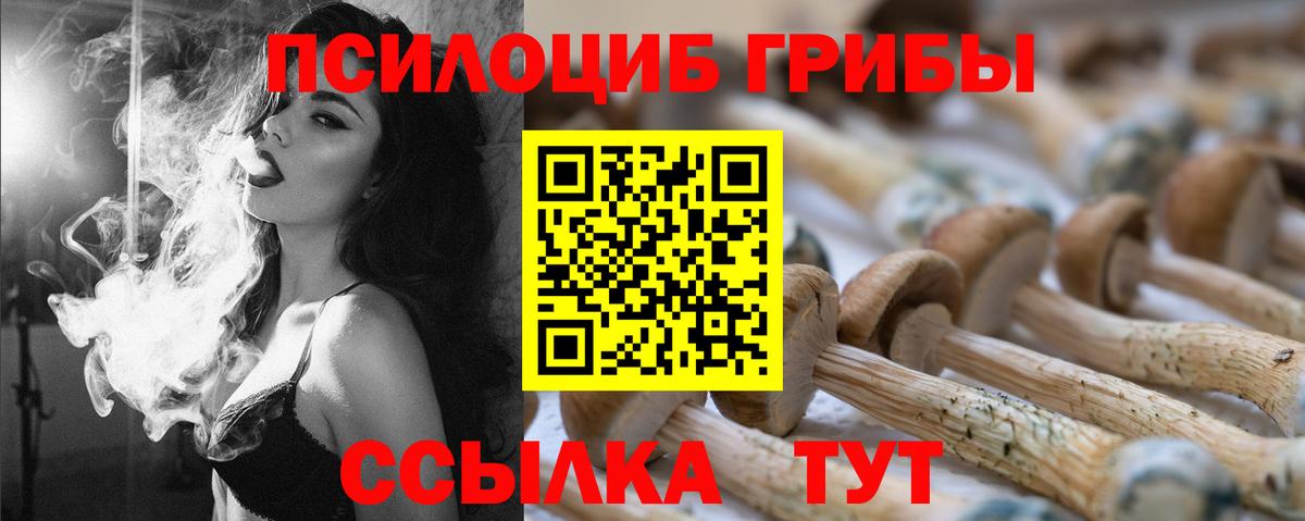 Иваново  где найти   Вход с VPN  Псилоцибиновые грибы Psilocybe 